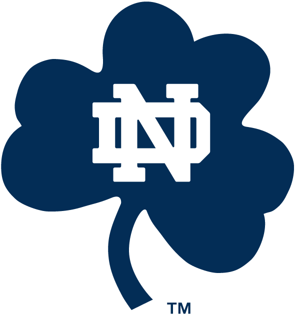 Notre Dame Fighting Irish 1994-Pres Alternate Logo v8 diy DTF decal sticker